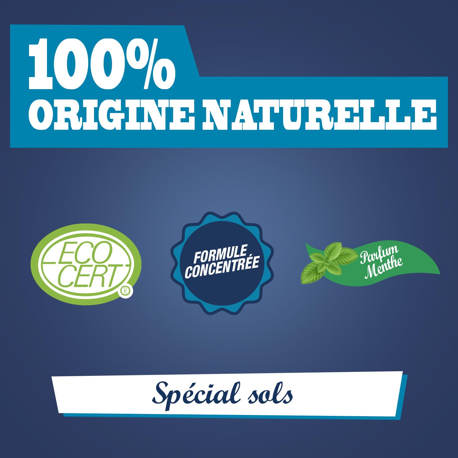 le-briochin-nettoyant-purifiant-sols-concentr-menthe-1l-100-naturel image 3
