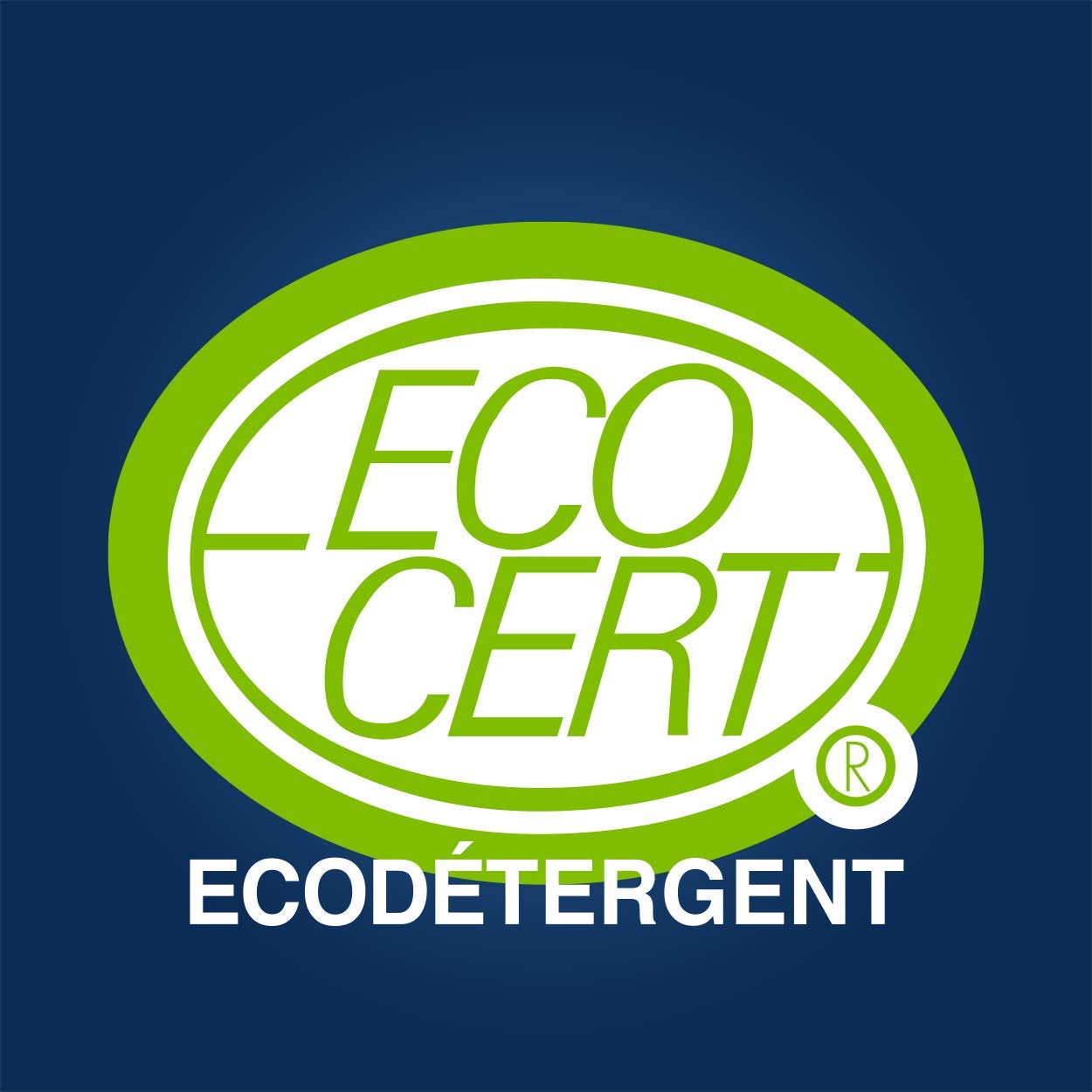 jacques-briochin-acide-citrique-poudre-450-g-ecocert image 3