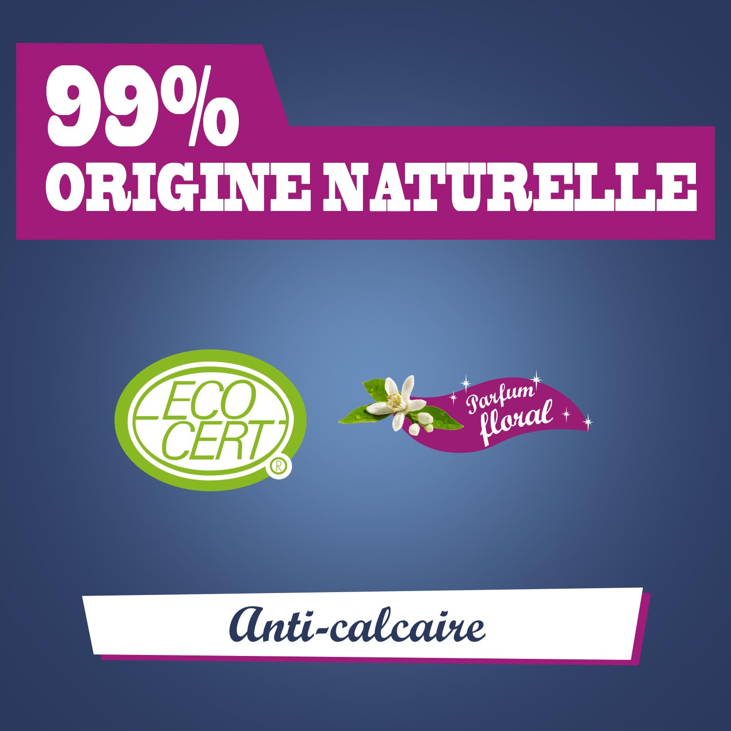 briochin-nettoyant-salle-de-bain-3-en-1-floral-1-l image 3